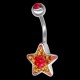 Piercing de nombril en acier chirurgical Crystal Evolution Etoile bicolore