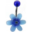 Fleur bleue